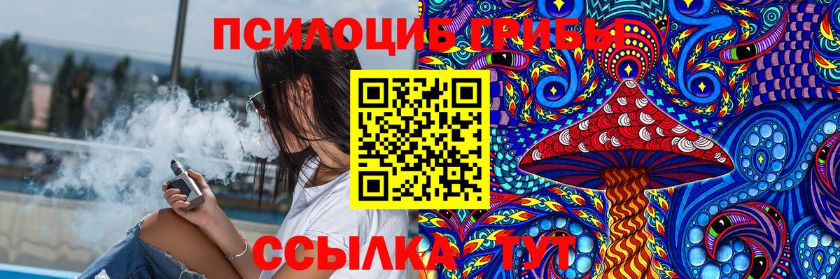 Псилоцибиновые грибы MAGIC MUSHROOMS  Вход с VPN  Чапаевск 